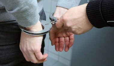 Cazul fermierului moldovean acuzat că ar fi ucis oameni cu care a hrănit porcii: fiul acestuia a fost arestat