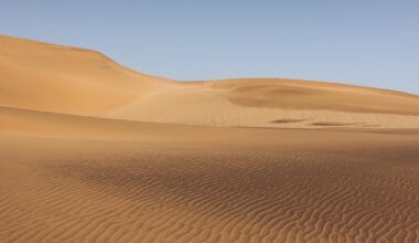 Cum au ajuns Arabia Saudită și Emiratele Arabe Unite să importe nisip din Australia, deși au deșerturi nesfârșite