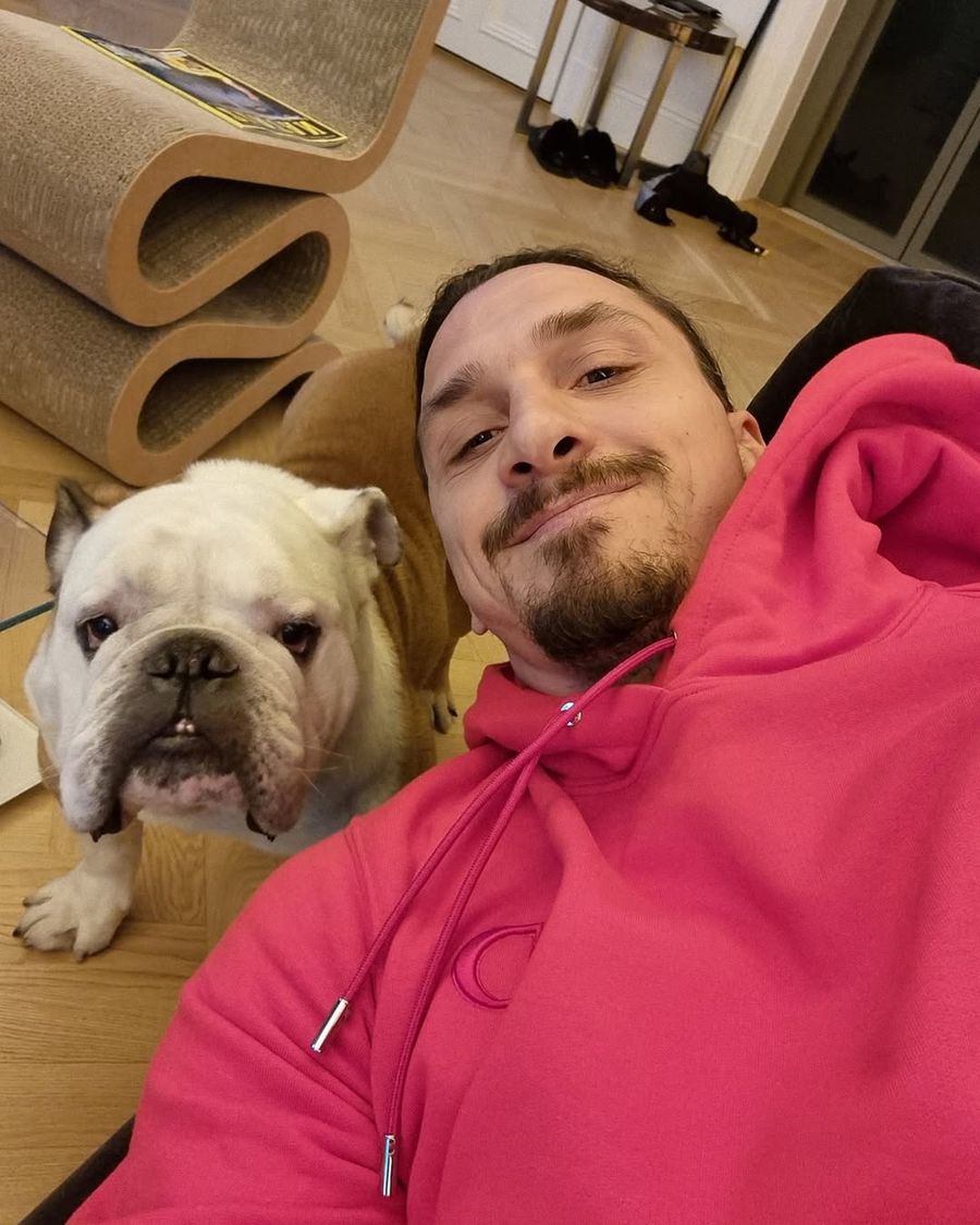 Iată unde locuiește Zlatan Ibrahimovic în Milano: penthouse de 5 milioane de euro la etajul 34, piscină interioară, mobilier de la designeri faimoși + Ce cartier de lux a ales Cristi Chivu