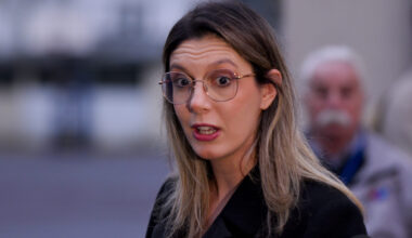 Diana Buzoianu anunță scanarea camioanelor cu gunoaie ilegale la intrarea în România