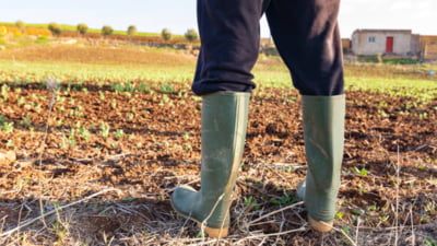 Cine va hrăni lumea în deceniile următoare?