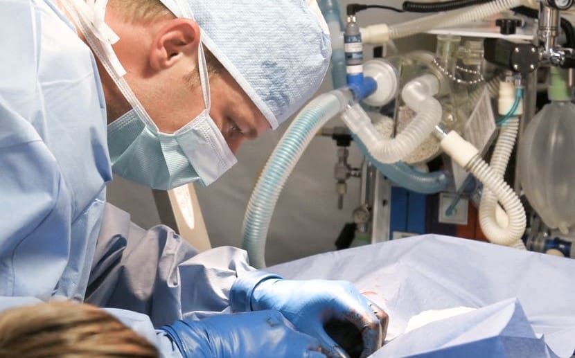 Fondatorul Dignitas a decedat prin sinucidere asistată, la vârsta de 92 de ani / Organizația elvețiană militează pentru „demnitate” în moarte