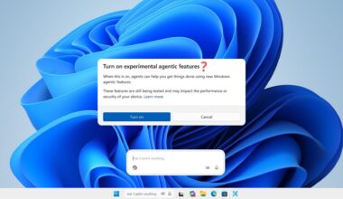 risc de halucinații și vulnerabilitate la atacuri