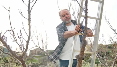 Un pensionar va primi o creștere de 50% a punctajelor la pensie. Decizie definitivă. Cum a argumentat instanța • Newsweek România