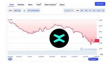 Crypto 2025: Luni, a picat sub 6 dolari EGLD (ex-Elrond), criptomoneda românilor de la MultiversX. Prețuri Bitcoin și Ethereum