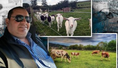 Cine a pus mâna pe averea temutului Gigi Geamănu, la un an de la moartea acestuia