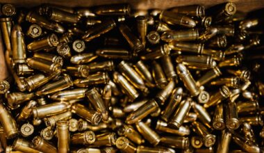 Circa 20.000 de cartuşe de muniţie ale armatei germane, furate dintr-un camion de transport civil