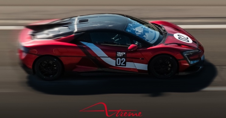 China interzice mânerele auto retractabile în stil Tesla