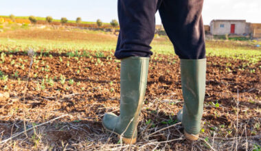 Cine va hrăni lumea în deceniile următoare?