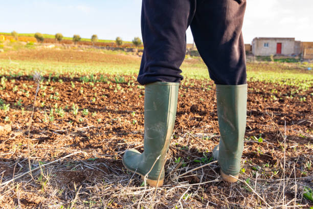 Cine va hrăni lumea în deceniile următoare?