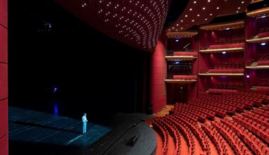 Un cunoscut actor va conduce interimar Teatrul Național din București de la 1 ianuarie, după ce concursul de management al insituției nu a fost câștigat de nimeni