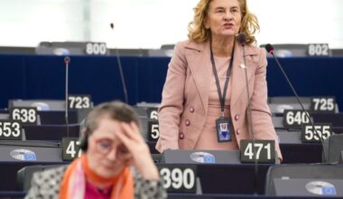 ''Pe mine mă preocupă cum va fi aplicat regulamentul în România''