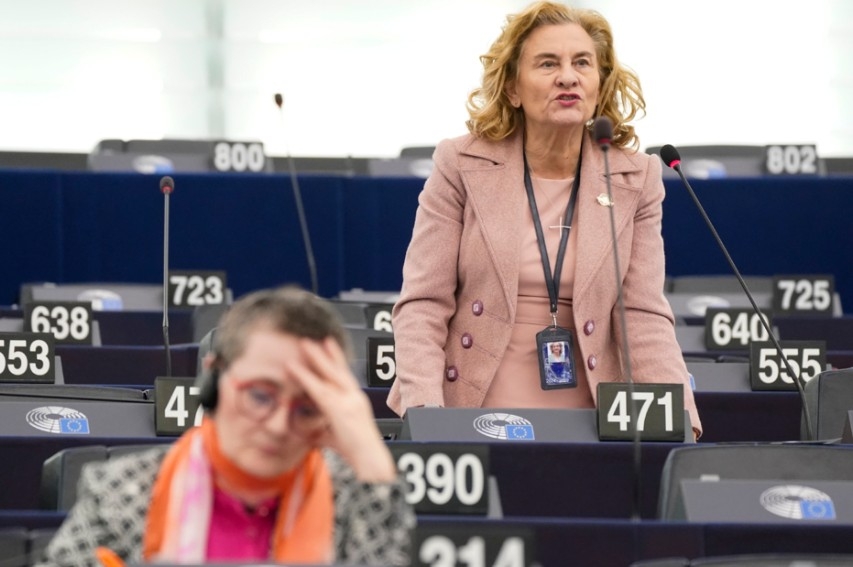 ''Pe mine mă preocupă cum va fi aplicat regulamentul în România''