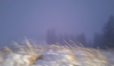 Avertizare Cod portocaliu de ninsoare în România. Zona unde zăpada viscolită poate depăși chiar și 50 cm