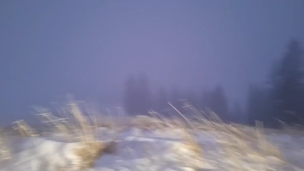 Avertizare Cod portocaliu de ninsoare în România. Zona unde zăpada viscolită poate depăși chiar și 50 cm