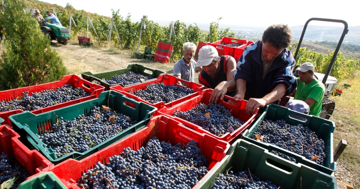 Prima mare reformă administrativă a Guvernului Bolojan. Zeci de instituții dispar din agricultură, sute de șefi își pierd funcțiile