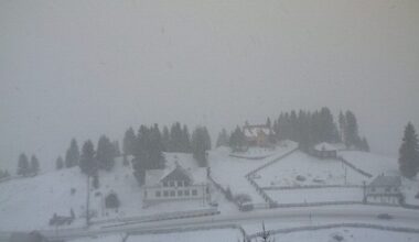 Județul în care s-a anunțat cod roşu de vânt puternic: rafale de peste 120 de km/h, zăpadă viscolită şi vizibilitate aproape de zero