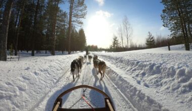 Satul sufocat de turiști: cum vizita oficială a Primei Doamne în anii ’50 a transformat un loc liniștit într-o destinație de milioane de euro