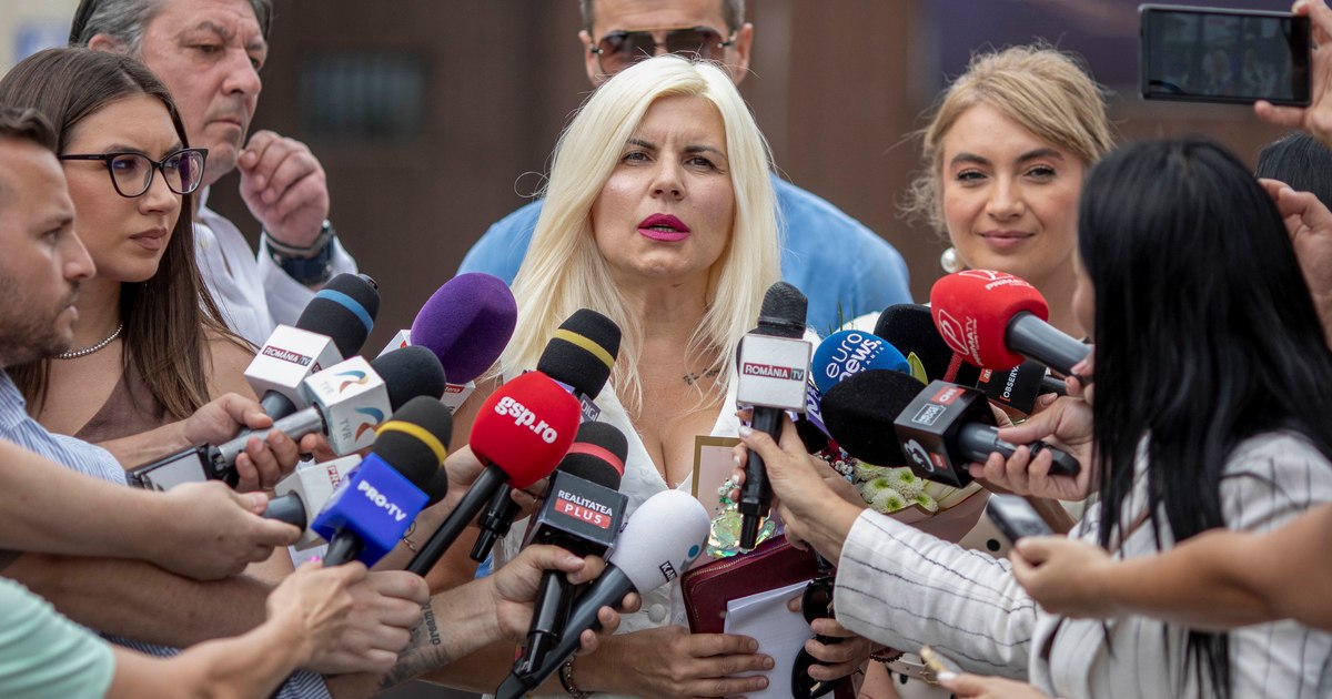 Elena Udrea vrea să recupereze la Înalta Curte o parte din banii confiscați în dosarul Hidroelectrica