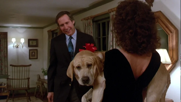 Actorul Chevy Chase FOTO: Profimedia