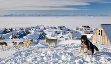 Donald Trump ar fi cerut armatei americane un plan de invadare a Groenlandei. Generalii încearcă să-l facă să se răzgândească