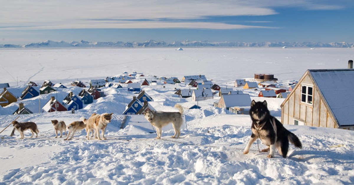 Donald Trump ar fi cerut armatei americane un plan de invadare a Groenlandei. Generalii încearcă să-l facă să se răzgândească