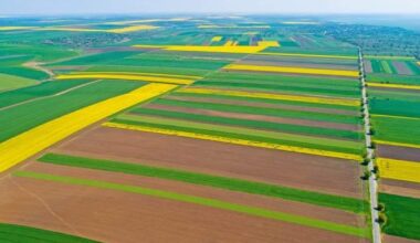 Cum a ajuns pământul agricol din România mai scump decât în Franța