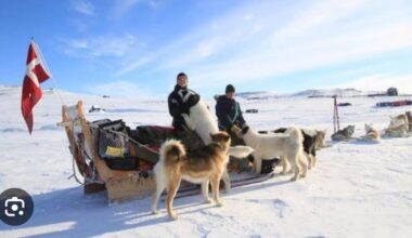 Patrula Sirius: forța discretă a Groenlandei, care supraviețuiește la minus 55 de grade și apără Arctica cu sănii trase de câini