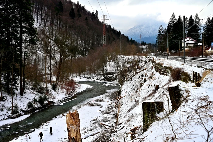 Imagini de la analiza pe teren. FOTO: CJ Prahova