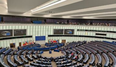 Eurodeputații au votat trimiterea Acordului Mercosur la Curtea de Justiție a UE. PSD susține că a obținut „o victorie extraordinară”. Avertismente din Parlamentul European