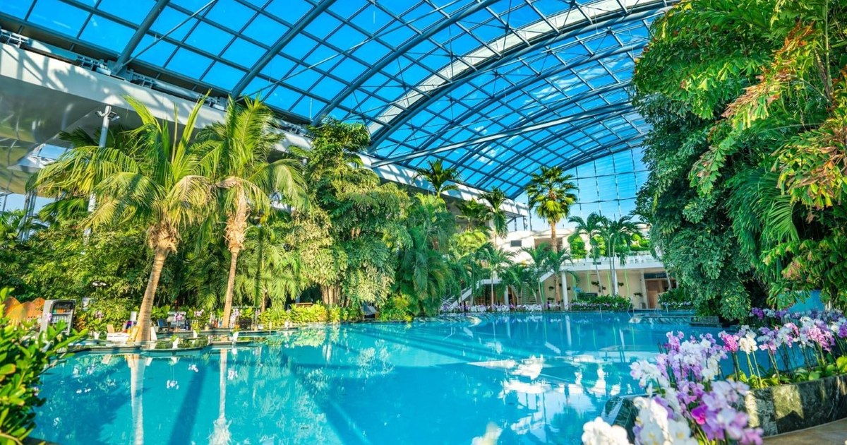 Topul investitorilor străini în România, după țara de origine. Ce afaceri au cumpărat în 2025