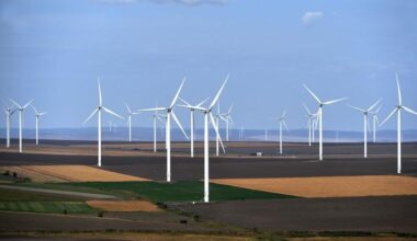 Parc eolian, Foto: AGERPRES