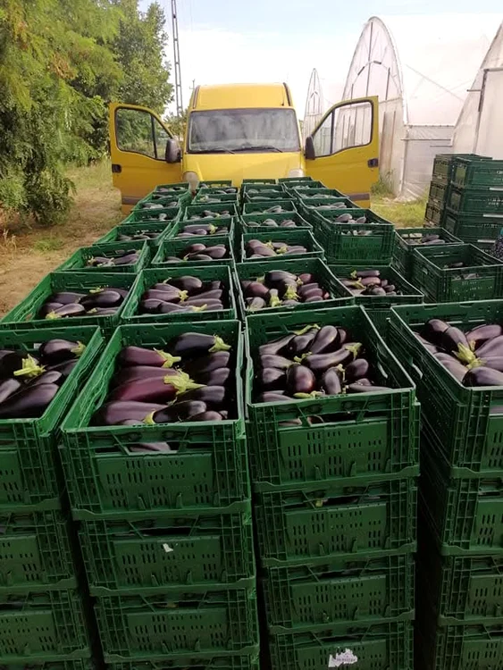 Producătorii își doresc să vândă către consumatori prin magazine proprii FOTO: Mihai Chesnoiu