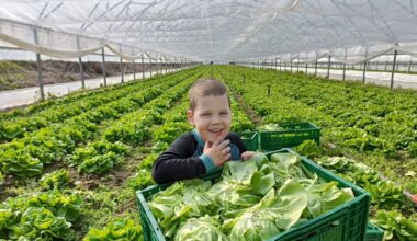 Fermierii au o idee simplă care poate salva hrana românească: „Clientul poate cu un singur click să vadă de unde este roșia”