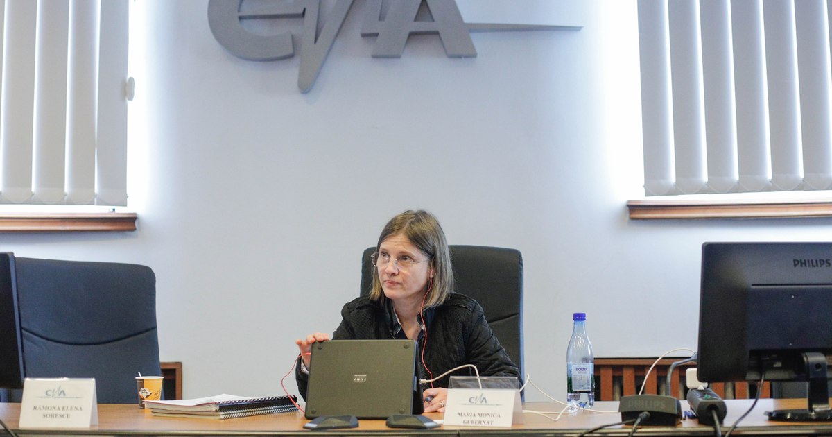 Televiziunea reprezentată de Turcescu și Mihaiu a fost lăsată fără licență de CNA. Patronul acuză „forțe obscure care au încercat gâtuirea financiară”