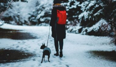 Prognoza meteo pentru următoarele patru săptămâni. România va avea temperaturi peste normalul perioadei