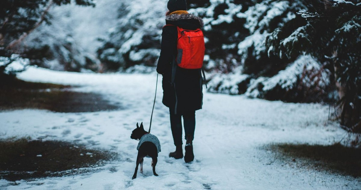 Prognoza meteo pentru următoarele patru săptămâni. România va avea temperaturi peste normalul perioadei