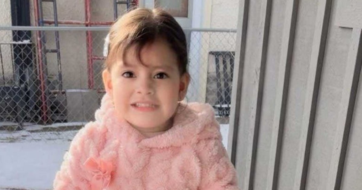 Agenții ICE au arestat o fetiță de 2 ani și au deportat-o ilegal într-un alt stat. Avocat: „Lipsa de umanitate este dincolo de orice cuvinte”
