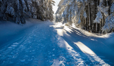 Ultima luna de iarnă va fi una a contrastelor: un val de ger scade temperaturile la -10 grade în est. Unde ne așteptăm la vreme primăvăratică