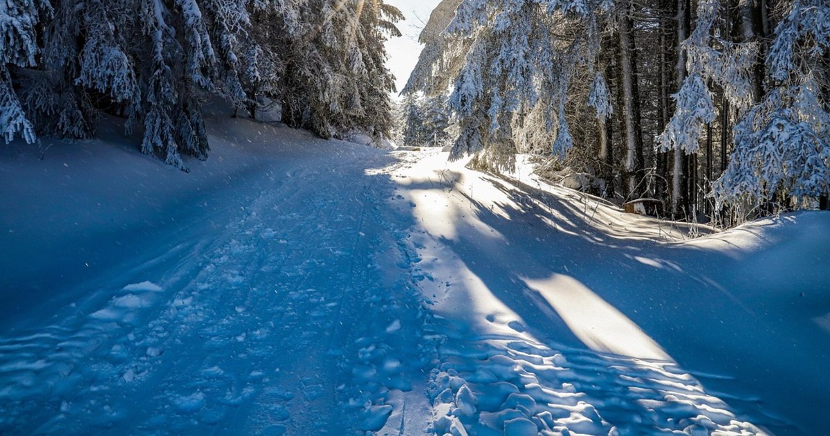 Ultima luna de iarnă va fi una a contrastelor: un val de ger scade temperaturile la -10 grade în est. Unde ne așteptăm la vreme primăvăratică