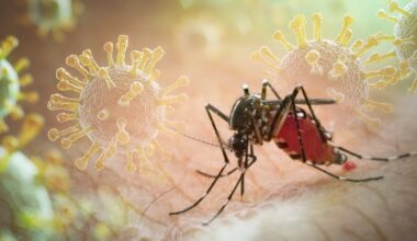 Un virus extrem de periculos a ajuns în România. Chikungunya este transmis de țânțari. Care sunt simptomele