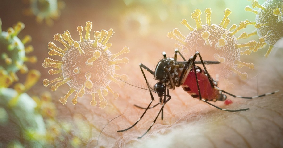 Un virus extrem de periculos a ajuns în România. Chikungunya este transmis de țânțari. Care sunt simptomele