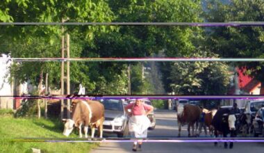 Într-o comună cu 166 de locuitori, fără apă, edilul face naveta cu un elicopter de 800.000 de dolari. Populația se dublează în anii electorali