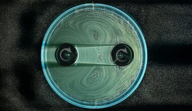 (VIDEO) O echipă de ingineri americani a inventat un nou tip de cutie de viteze, fără roţi dinţate, dar totul pare să aibă o mare problemă de randament | PiataAuto.md