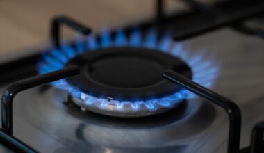 Prețul gazului la București este cu 20% mai mare decât la Viena