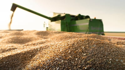 Prima mare reformă administrativă. Guvernul Bolojan ar urma să economisească aproape 150 de milioane de lei anual ca urmare a dispariției a zeci de instituții din agricultură