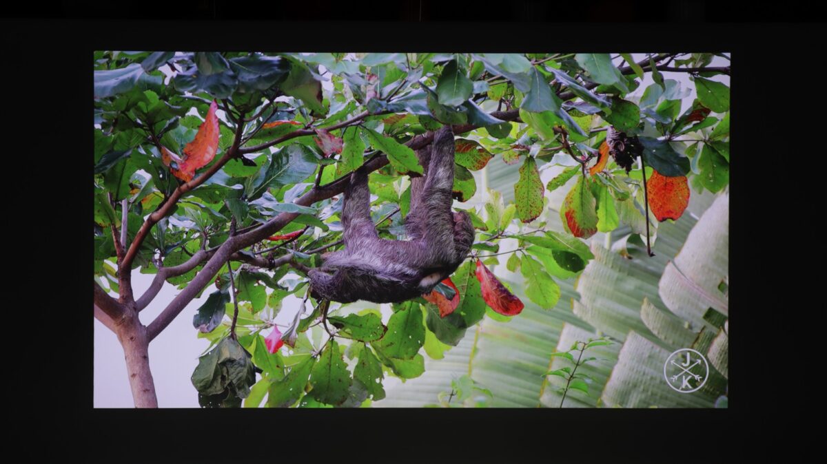 Proiector smart 4K BenQ GP520 - review