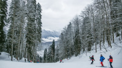 Român mort într-un accident de schi în Franța. Instructorul care era cu el a fost reținut