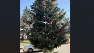 Scandal din cauza bradului de Crăciun împodobit în centrul unui oraș din România: A fost tăiat din cimitir de pe mormântul unui localnic