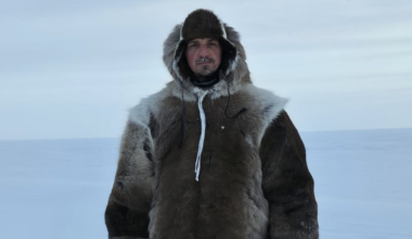 Unde a apărut Zlatan Ibrahimovic: „S-a reunit haita arctică"